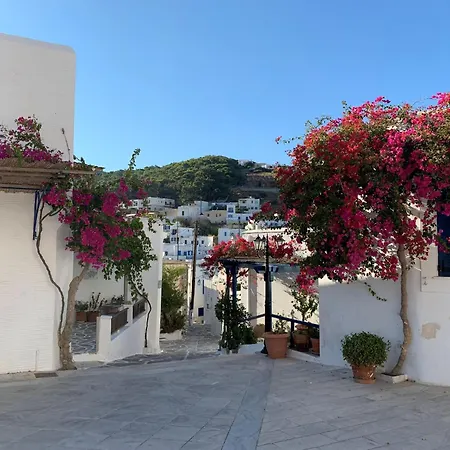 Marvelous Naxos Two Bedroom Center 200m From アパート Naxos City