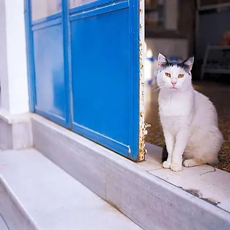Marvelous Naxos Two Bedroom Center 200m From アパート Naxos City